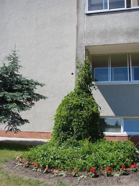 Pas Roma Hotel Sventoji Exterior photo